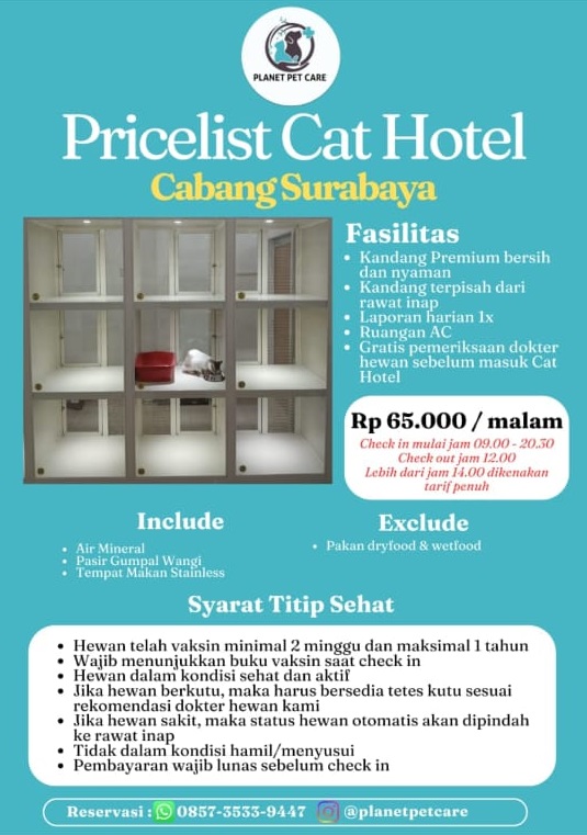 Cat hotel
