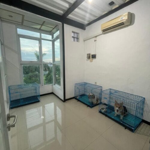 Penitipan Anjing (1) Penitipan Anjing (1)