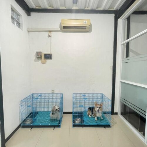 Penitipan Anjing (2) Penitipan Anjing (2)