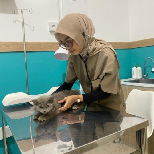 Periksa dengan dokter hewan Periksa dengan dokter hewan