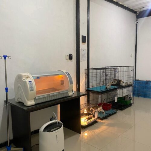 Ruang rawat inap non infeksius (1) Ruang rawat inap non infeksius (1)