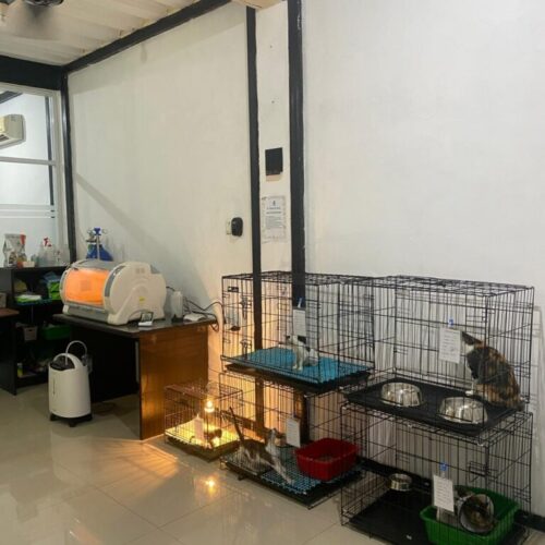 Ruang rawat inap non infeksius (2) Ruang rawat inap non infeksius (2)