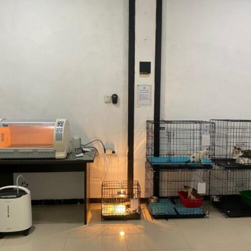 Ruang rawat inap non infeksius (4) Ruang rawat inap non infeksius (4)