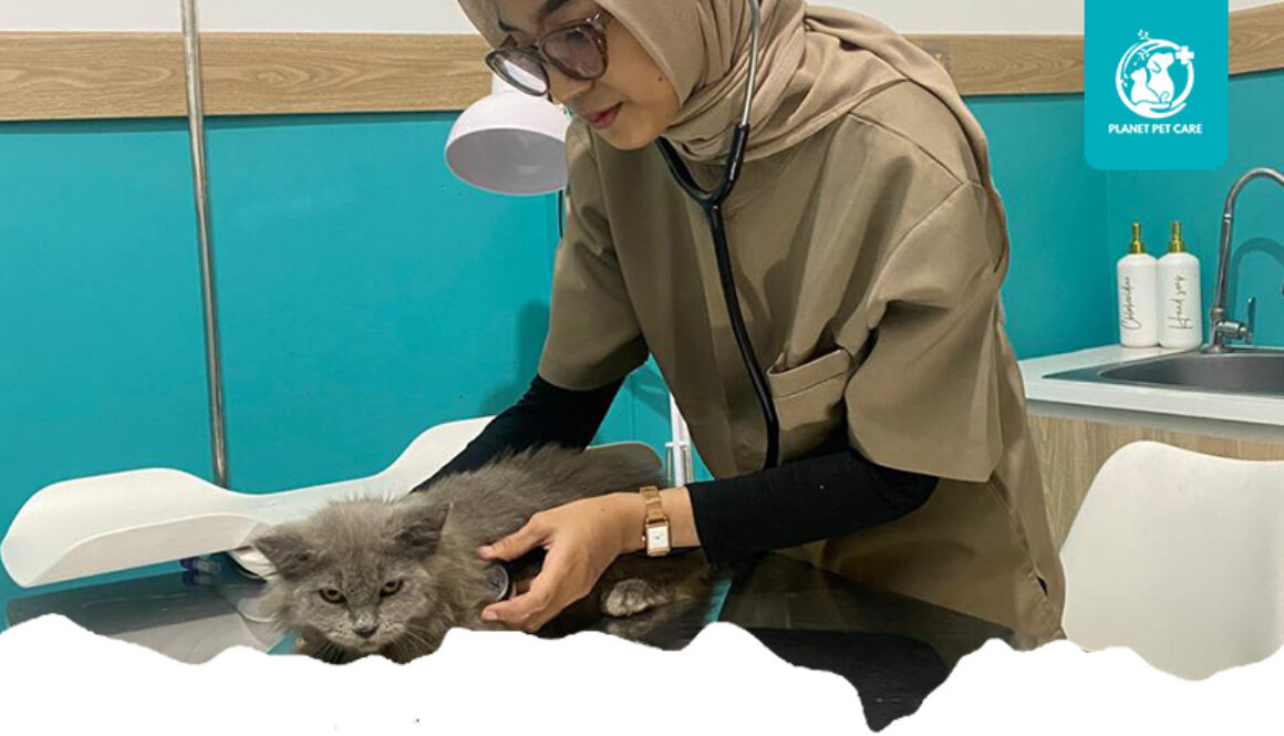 artikel planet pet care 1
