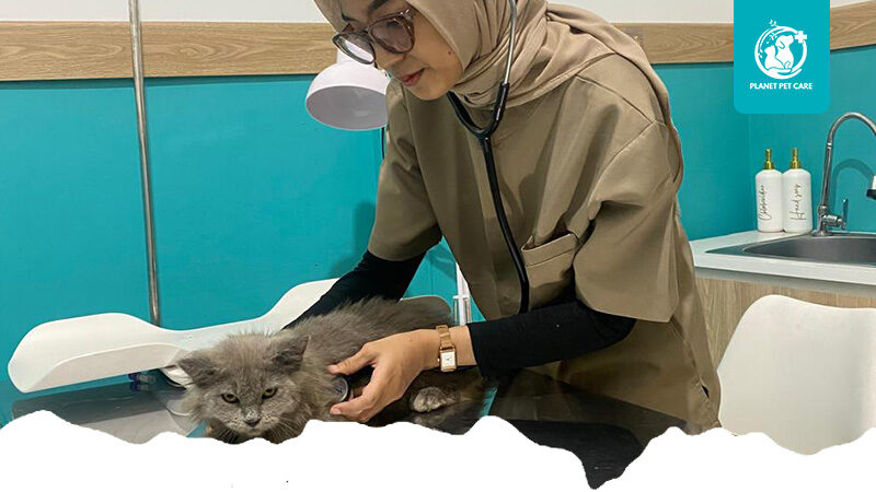 artikel planet pet care 1