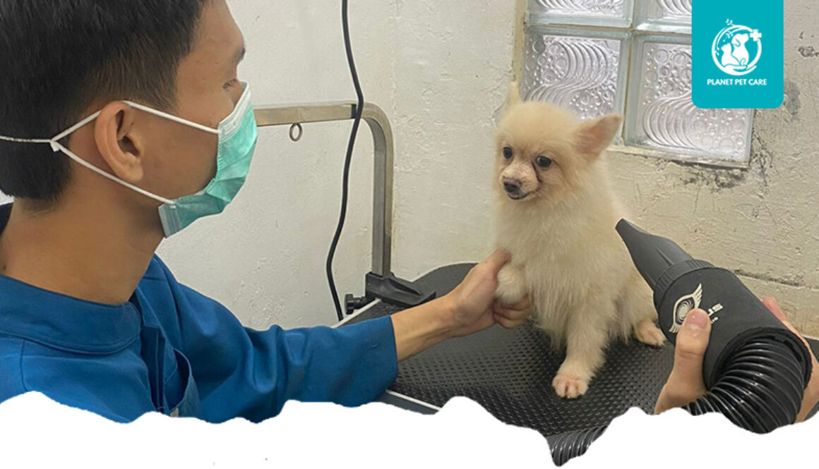 artikel planet pet care 2