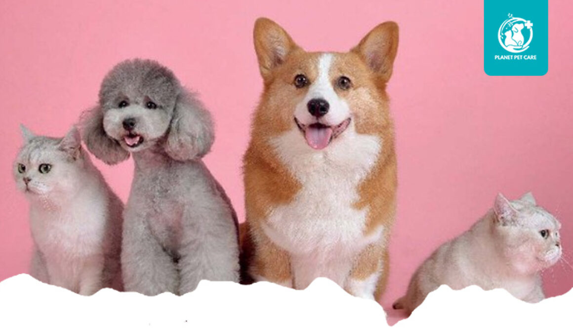 artikel planet pet care 3