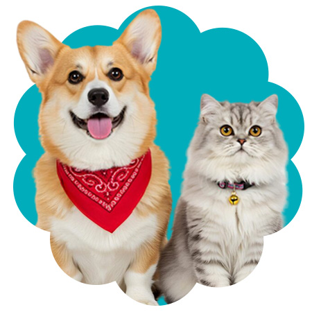 img profil 1 Planet Pet Care