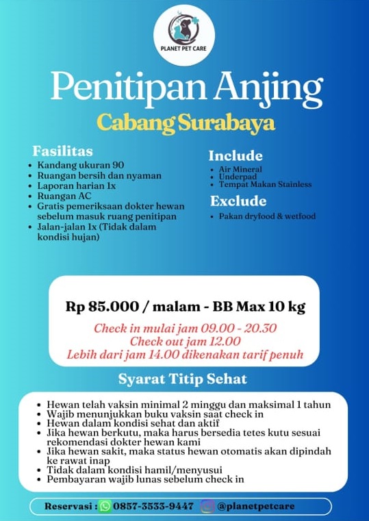 penitipan anjing 11